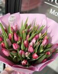 Pink Tulips
