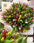 Mixed Double Tulips - Designer Choice Color
