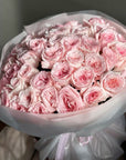 Pink O'hara Roses