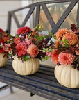 Autumn Pumpkin ‘’ Designer’s Choice arrangement ‘’