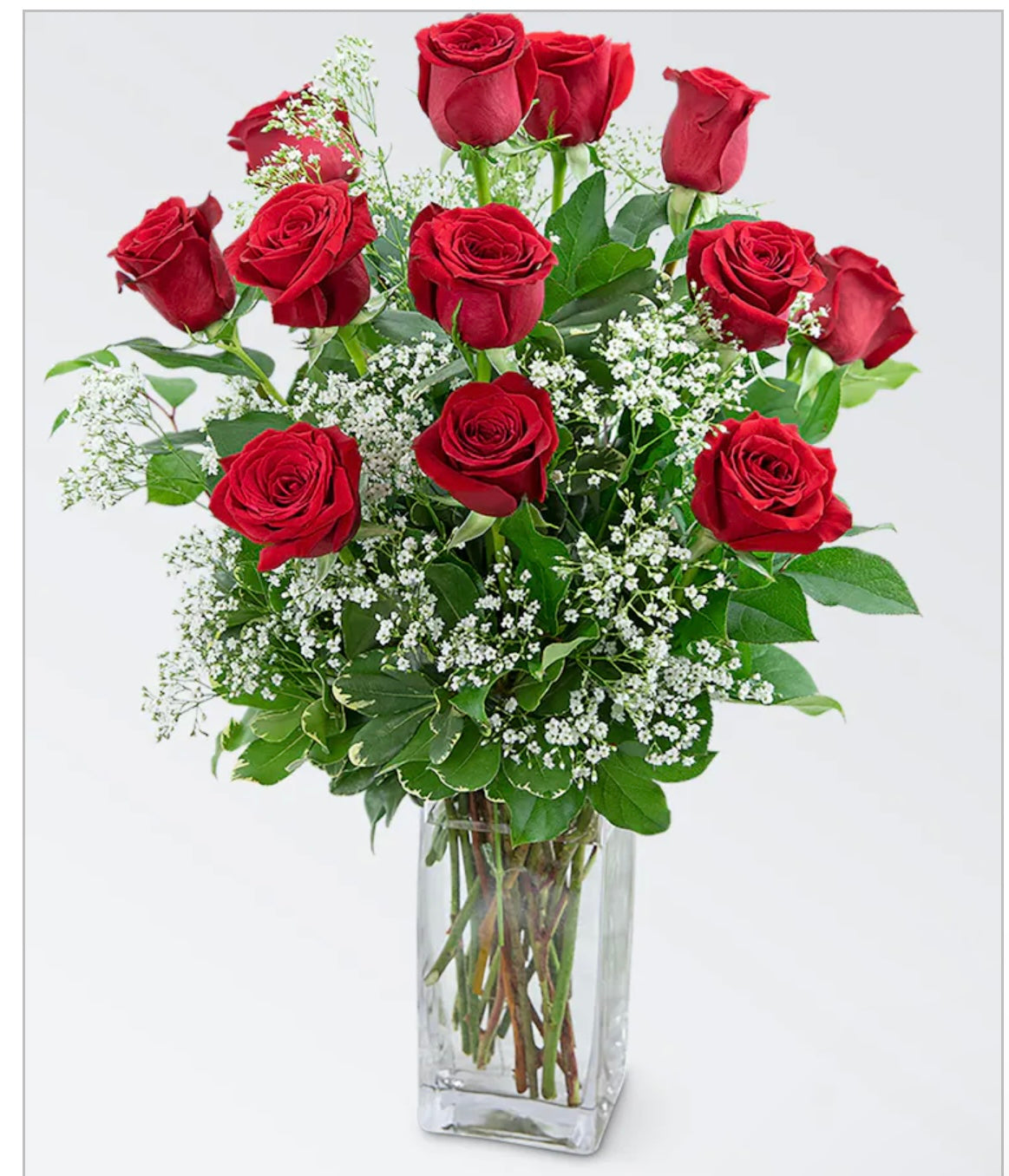 A dozen of Red Roses #22 image 0