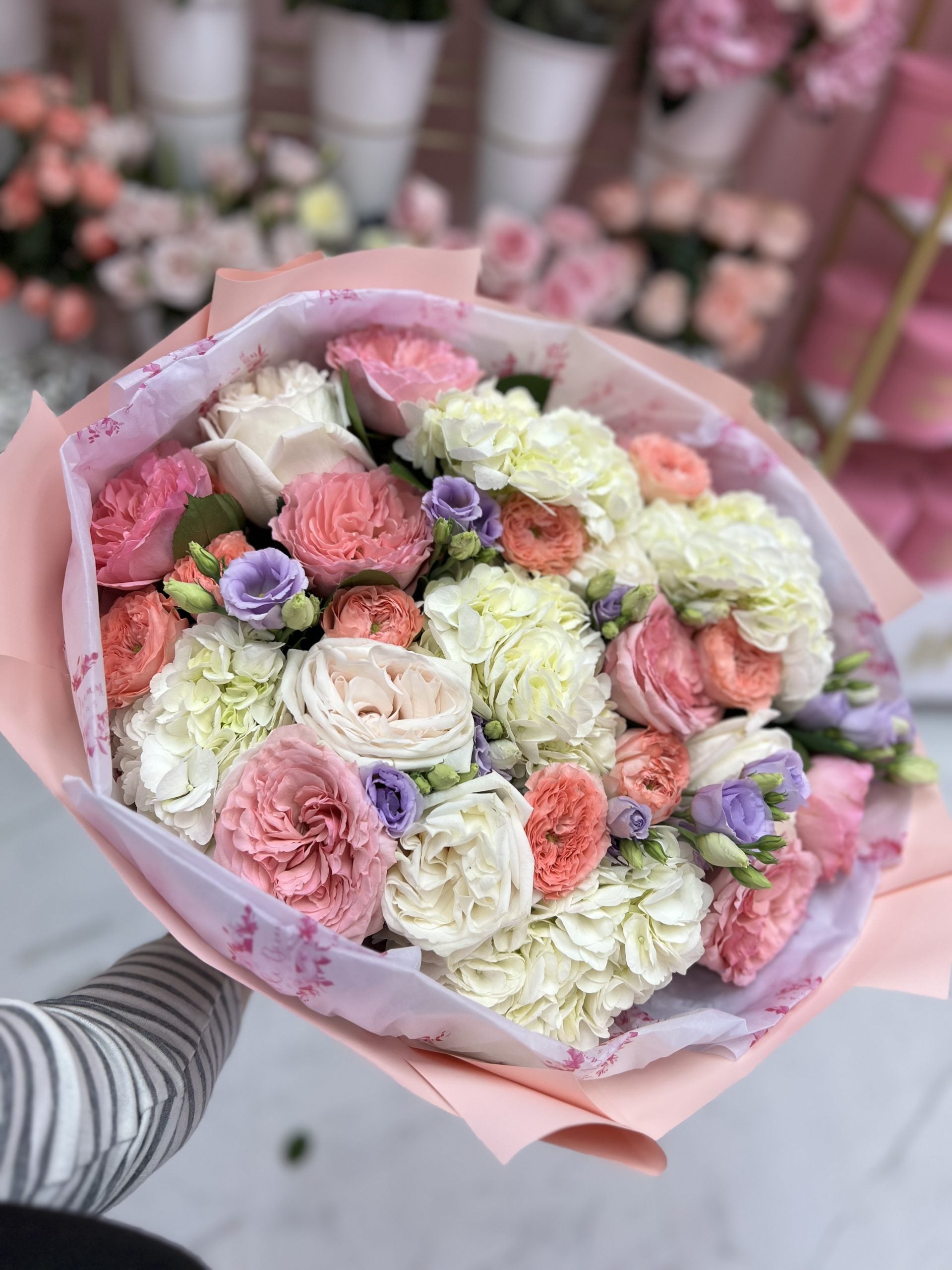 Blush Ambiance#1 image 2