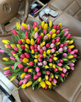 Mixed Double Tulips - Designer Choice Color