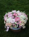 BLUSH ESSENCE