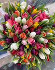 Mixed Double Tulips - Designer Choice Color