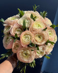 Blush Petal Dream Ranunculus Bouquet