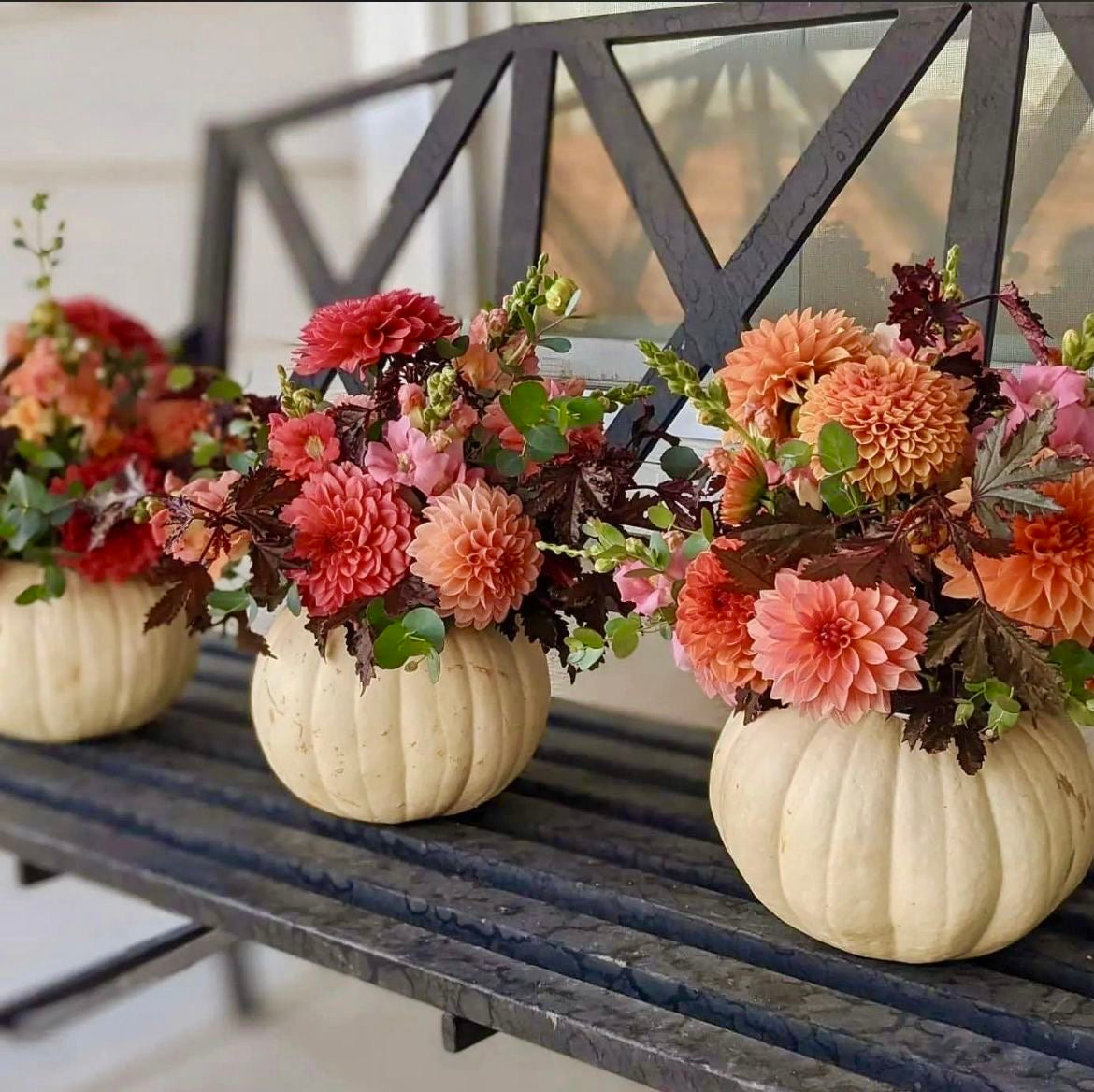 Autumn Pumpkin ‘’ Designer’s Choice arrangement ‘’