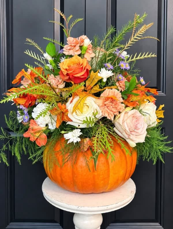 Autumn Pumpkin ‘’ Designer’s Choice arrangement ‘’