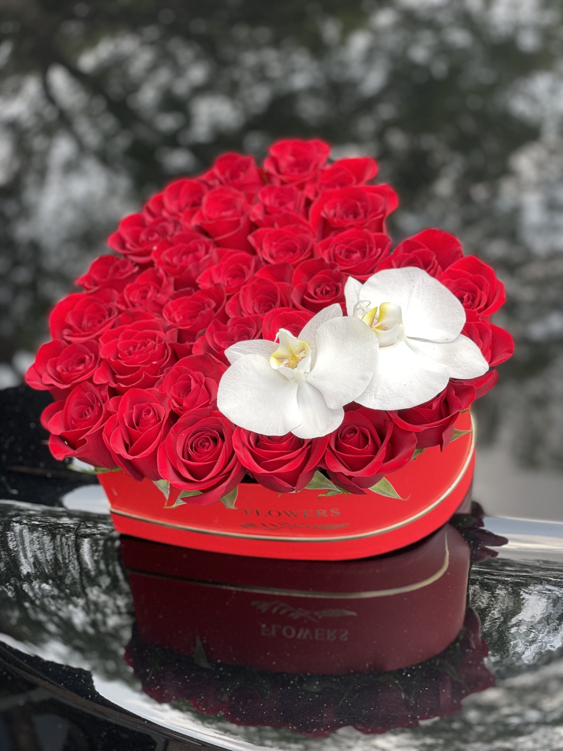 My Heart #64 image 1