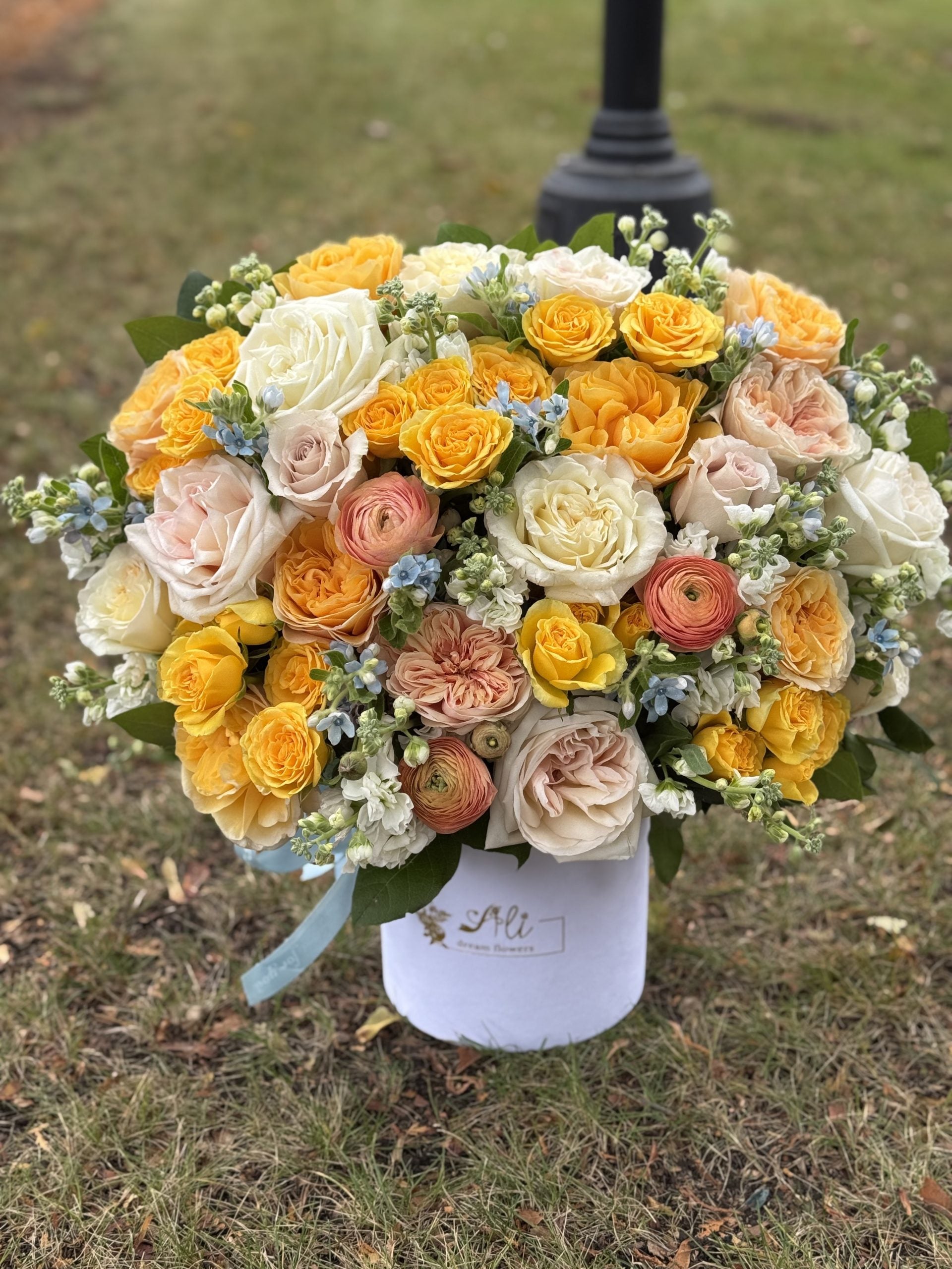 Favorite #59 image 0