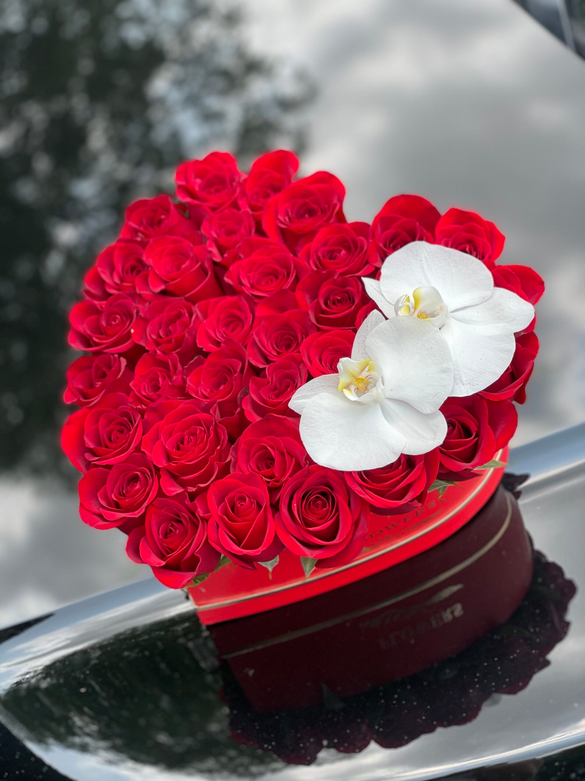 My Heart #64 image 0