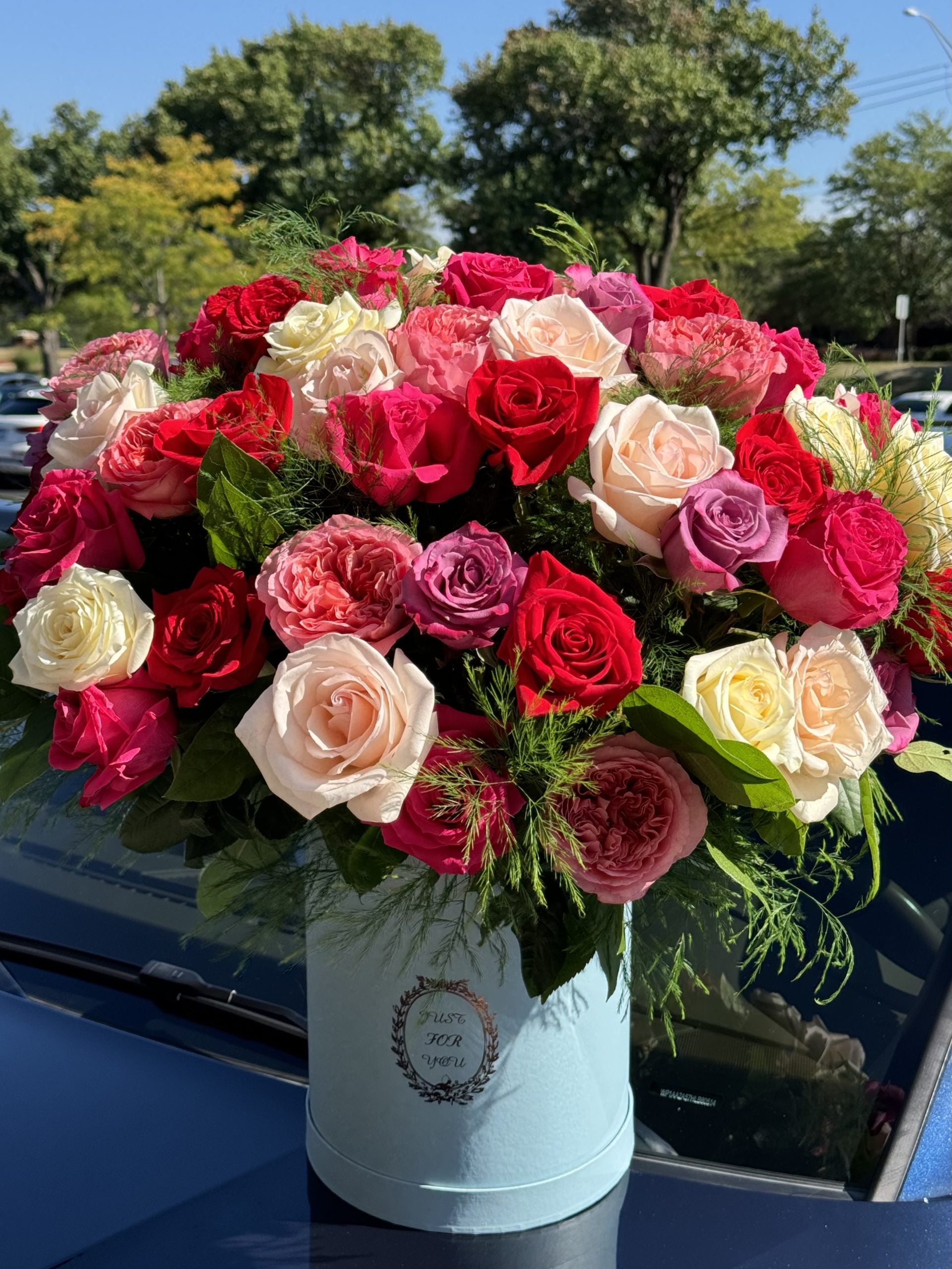 Colorful Celebration #104 image 0