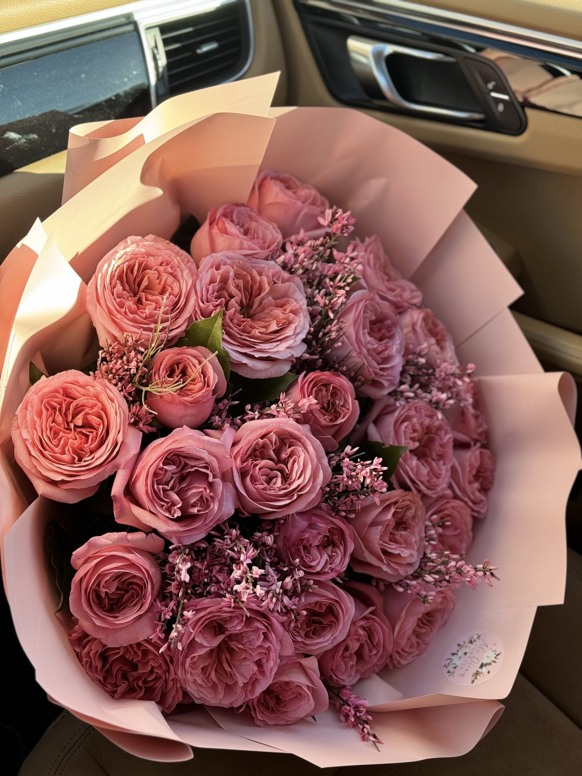 Pink expression #41 image 0